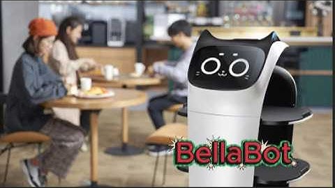 BellaBot, Premium Delivery Robot | Pudu Robotics