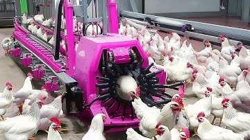 30 Minutes Satisfying Video Working & Exciting Factory Machines, Ingenious Tool, Admirable Worker▶23