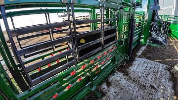 Weighing the 2026 Bulls! Big Boys