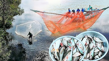 Het water trekt zich terug, vissen trekken zich terug naar de rivier
