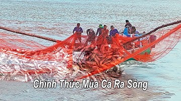 Het water trekt zich terug, vissen trekken zich terug naar de rivier