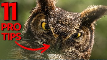 11 Pro Photography Tips Most Photographers Never Learn