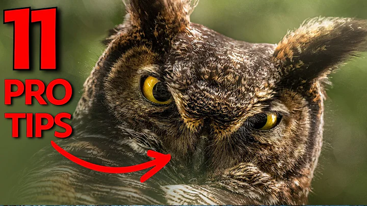 11 Pro Photography Tips Most Photographers Never Learn