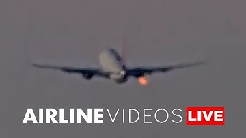 Delta 737 Strikes Bird During Takeoff at LAX – Caught on Camera!