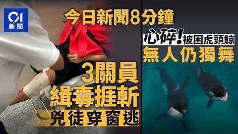 今日新聞｜緝毒遇反抗　3海關關員遇襲捱斬受傷｜法國殺人鯨母子被困廢棄樂園　向無人機「表演」｜01新聞｜海關｜殺人鯨｜鄭雋熹｜毒品｜JPEX｜福建艦｜2025年11月7日 #hongkongnews