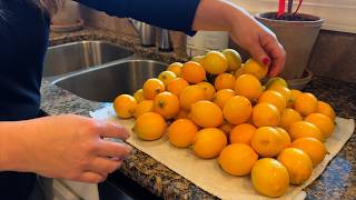 Canning Lemonade Concentrate with Our Homegrown Lemons & Seedling Update! 🍋🌱😁 // Garden Answer