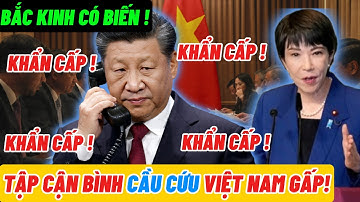 CHẤN ĐỘNG: Tập Cận Bình Cầu Cứu Việt Nam Gấp – Bắc Kinh Đang Có Biến Gì?