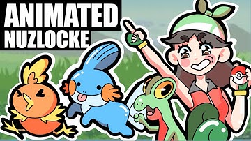 My First Animated Nuzlocke: Pokemon Emerald Marathon