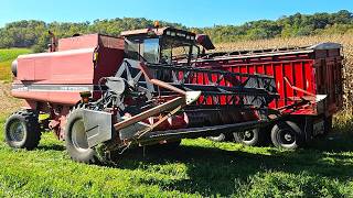 My Last Day Combining Soybeans! Harvest 2025