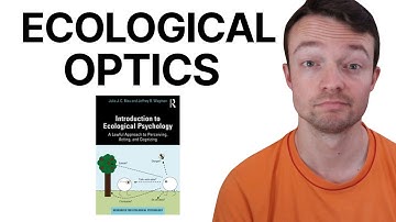 Visaul Perception From The Ecological Approach