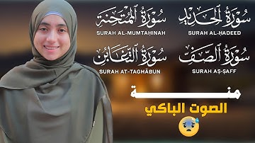 القرآن الكريم : سورة الصف + التغابن + الحديد + الممتحنة | بصوت منة الله رمضان