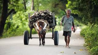 India: Vertigo at the End of the World | Deadliest Journeys