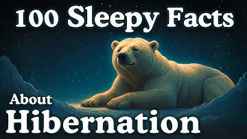 The Most Relaxing Facts About Hibernation to Fall Asleep To