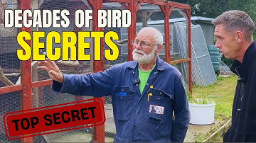 The 72 Year Old Bird keeper With 50 Years of Secrets