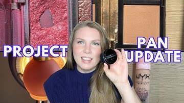 Project Pan Update #8!