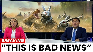 Actual Footage From Florida’s Anti Python Project Reveals the Aftermath NOBODY Expected