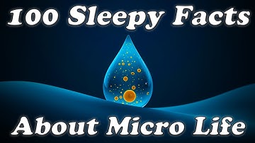 The Most Relaxing Facts About Microscopic World to Fall Asleep To
