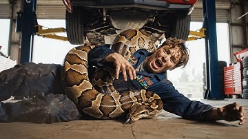 rescue animal: Giant Burmese Python Attacks Mechanic! - Incredible Garage Rescue