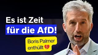 Es ist Zeit für die AfD! 🎯 Boris Palmer schockiert mit Klartext – Medien schweigen aus Angst!