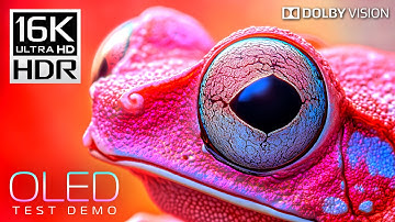 INSANE Beauty in 16K HDR 120fps Dolby Vision (4K / 8K Video TV TEST)