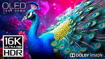 INSANE Beauty in 16K HDR 120fps Dolby Vision (4K / 8K Video TV TEST)