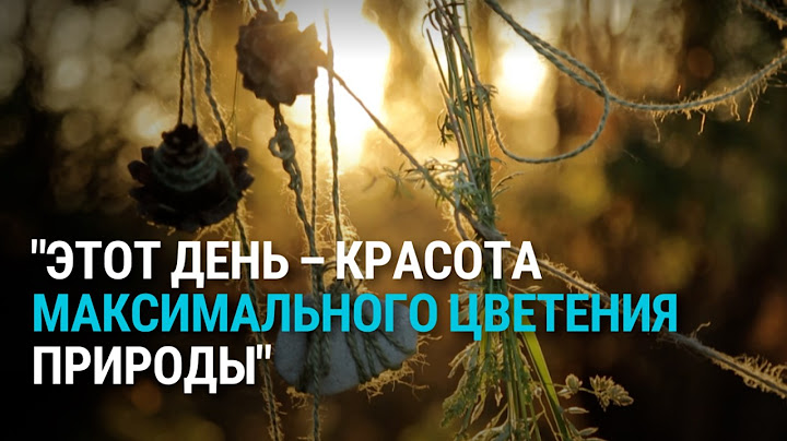 Единственная ночь в году, когда цветет папоротник. Как в Латвии отмечают летнее солнцестояние?