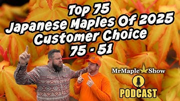 Best Japanese Maples of 2025 | Customer Choice Countdown #75–51