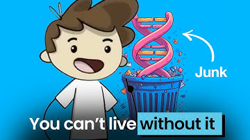 Junk DNA Was Never Junk. Here’s the Proof.