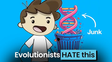 Junk DNA Was Never Junk. Here’s the Proof.