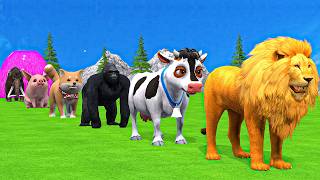 Paint & Animals Cow,Gorilla,Elephant,Lion,Tiger,Dinosaur, Fountain Crossing Transformation Cartoon