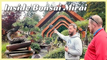 Inside Bonsai Mirai with Ryan Neil | 900 Trees, Native Species & Mind-Blowing Design