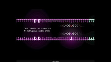 Actionable mRNA Quality Control Results | In One Go