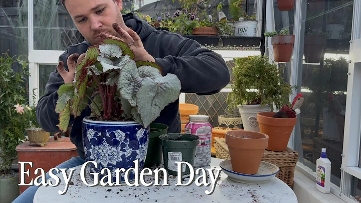 Potting Plants, Starting Spinach, and Overthinking Wood Stain Colors  || Visit Our Garden