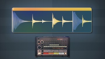 the best drums in history (music video)