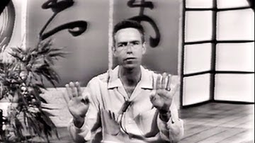 Don’t Force Life — Alan Watts on Wu Wei, Zen Gardens & Solitude