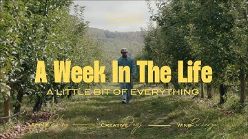 Balancing Creativity & Life — Apple Picking, Creative Shoots, ATL Wings