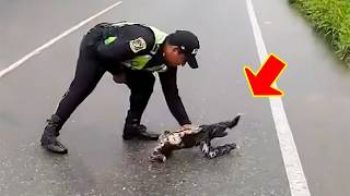 The police officer didn't know he was being filmed. What he did to the sloth was shocking.