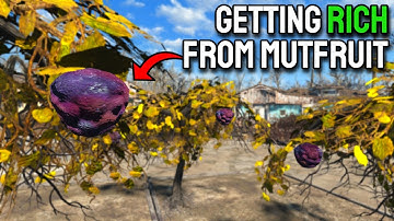 How Mutfruits Break Fallout 4