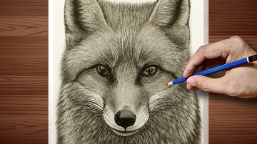 How to Draw a Fox Face Realistically | Simple Method for Clean Shading for Fur