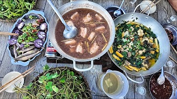 Tập 57. Món Cá Chạch Lấu Um Chuối Sáp, Lẩu Mắm Ruốc Chạch Cơm Nhậu Trên Đồng Nước Nổi