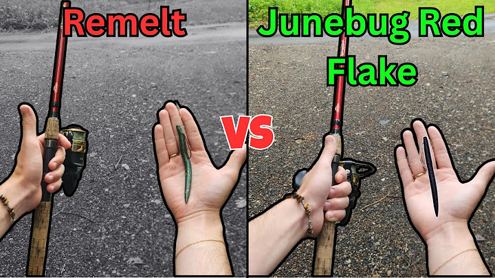 Junk Plastic vs Proven Color - Which One Catches More Fish?