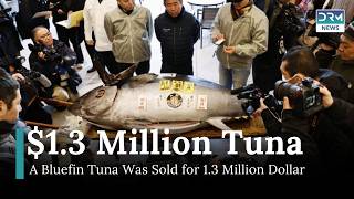 Record-Breaking Tuna Sells for $1.3 Million at Japan's New Year Auction | AQ1I