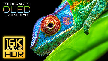 OLED Demo | Best 16K Video ULTRA HD 240 fps | Dolby Vision 16K HDR (8K/4K TV)