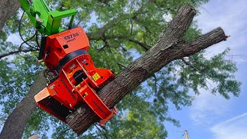 Tree Fell on Fence | Professional Removal with the Merlo