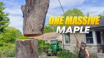 Tree Fell on Fence | Professional Removal with the Merlo