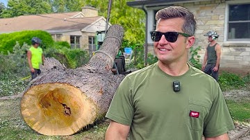 Tree Fell on Fence | Professional Removal with the Merlo