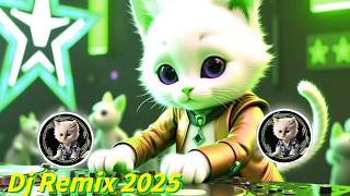 Dj Remix 2025 |dj breakbeat 2025 terbaru  |dj breakbeat 2025  |dj