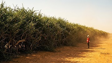 There’s a Giant Barrier Across India and Nobody Noticed
