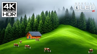 Beautiful 4K Videos with relaxing music for stress relief | 4K HDR 60fps | Dolby Vision