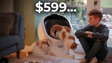 I Tried The $599 Smart Self-Cleaning Litter Box